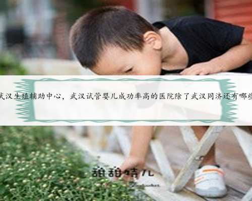 武汉生殖辅助中心，武汉试管婴儿成功率高的医院除了武汉同济还有哪些