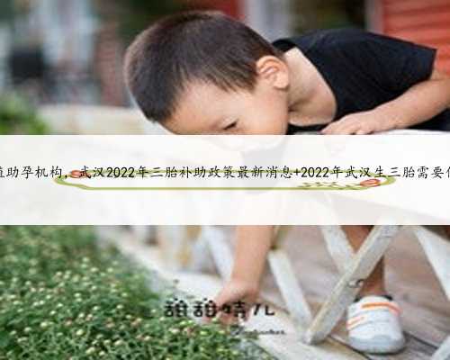武汉生殖助孕机构，武汉2022年三胎补助政策最新消息 2022年武汉生三胎需要什么