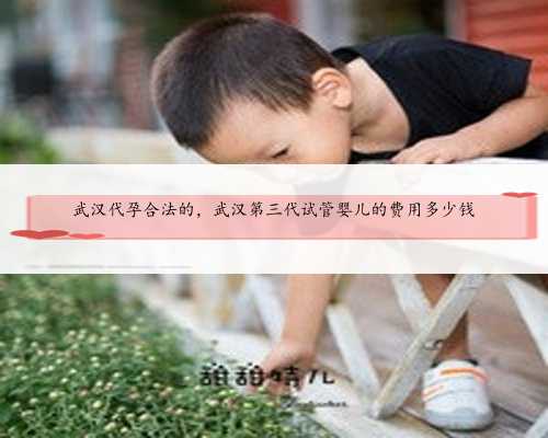 武汉代孕合法的，武汉第三代试管婴儿的费用多少钱