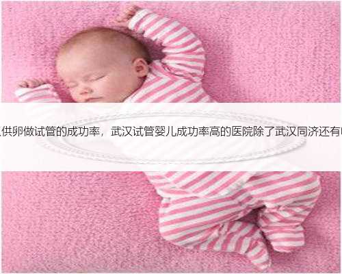 武汉供卵做试管的成功率，武汉试管婴儿成功率高的医院除了武汉同济还有哪些