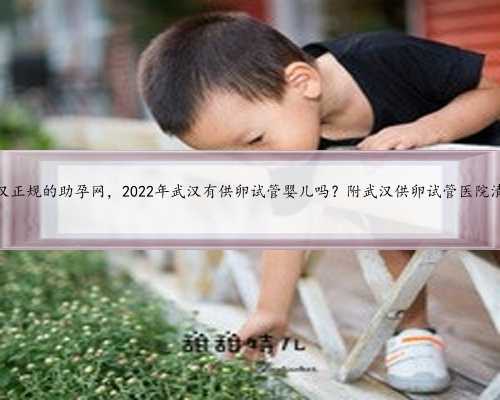 武汉正规的助孕网，2022年武汉有供卵试管婴儿吗？附武汉供卵试管医院清单