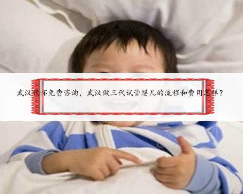 武汉代怀免费咨询，武汉做三代试管婴儿的流程和费用怎样？