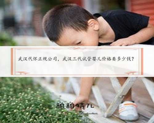 武汉代怀正规公司，武汉三代试管婴儿价格要多少钱？