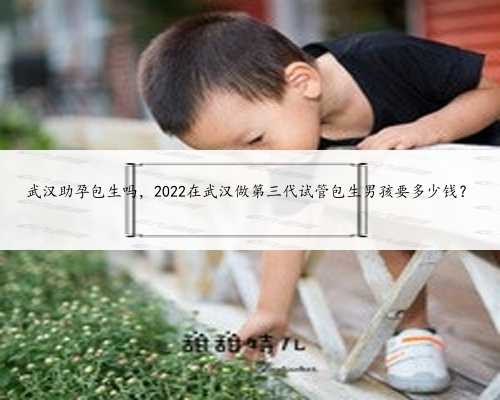 武汉助孕包生吗，2022在武汉做第三代试管包生男孩要多少钱？