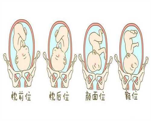 四大身体状况可以判断排卵期