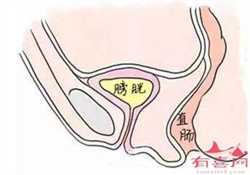 武汉排名供卵机构有哪些，3家可以开展三代供卵试管助孕