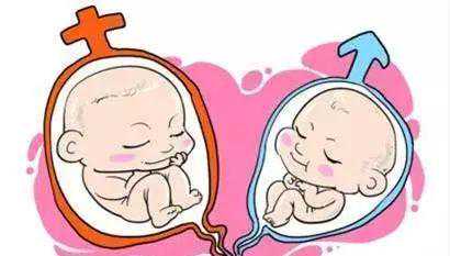 武汉代生双胞胎免费咨询，武汉捐卵生男孩