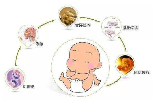 武汉康健医院供卵试管婴儿，武汉供卵手续